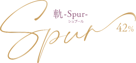 軌 -Spur- シュプール 42%